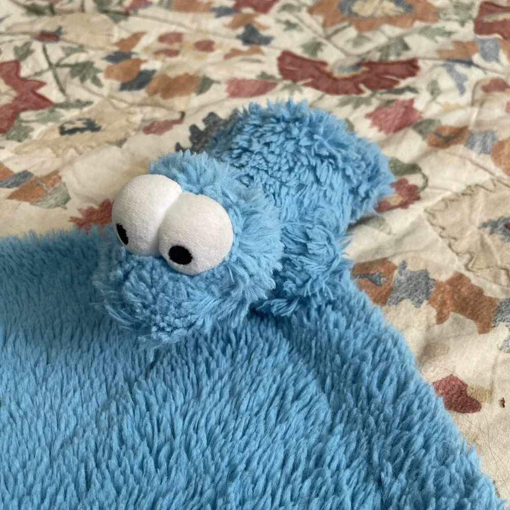 Pottery Barn Kids COOKIE MONSTER Sesame Street Toddler LOVEY Security Blanket